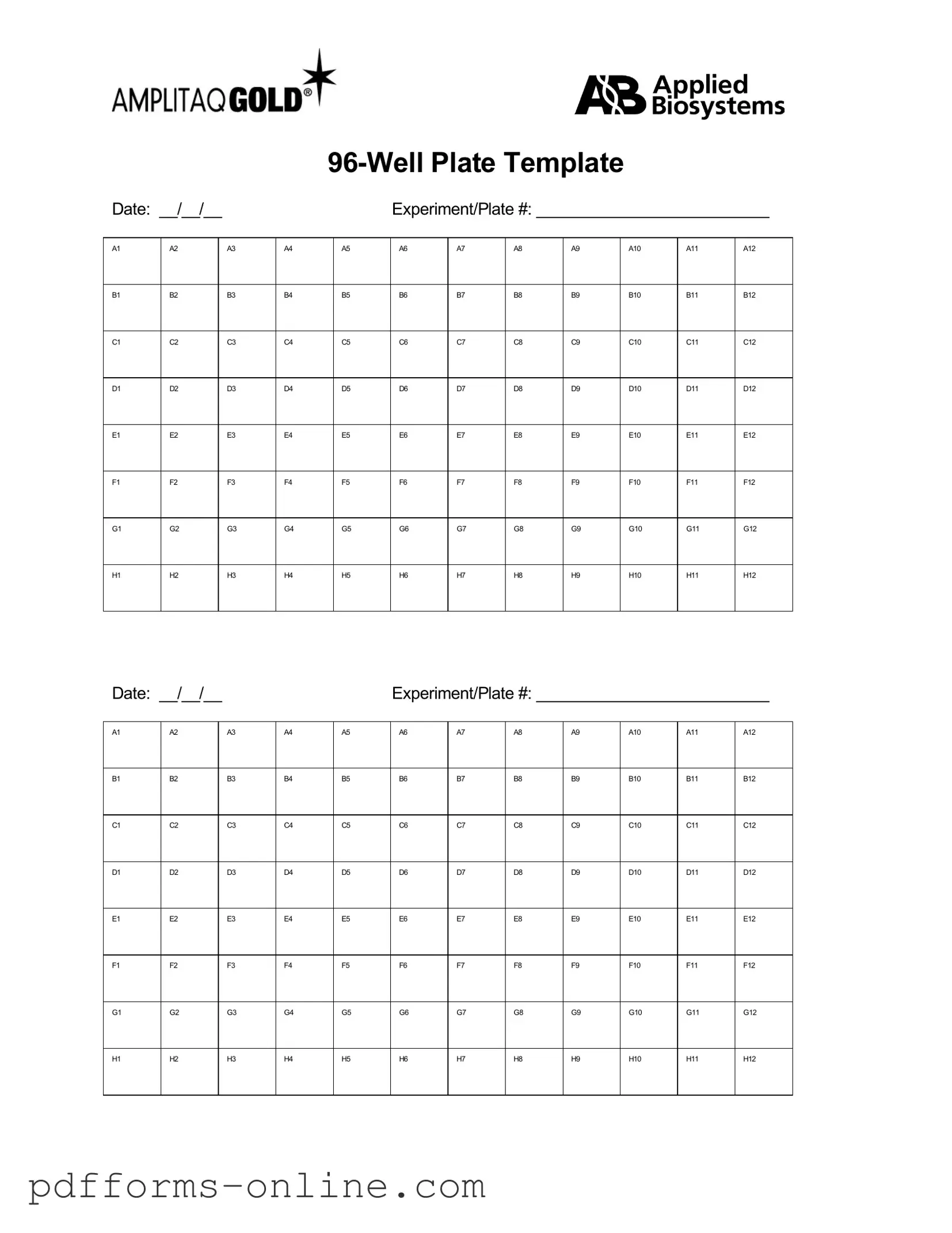 Blank 96 Well Template