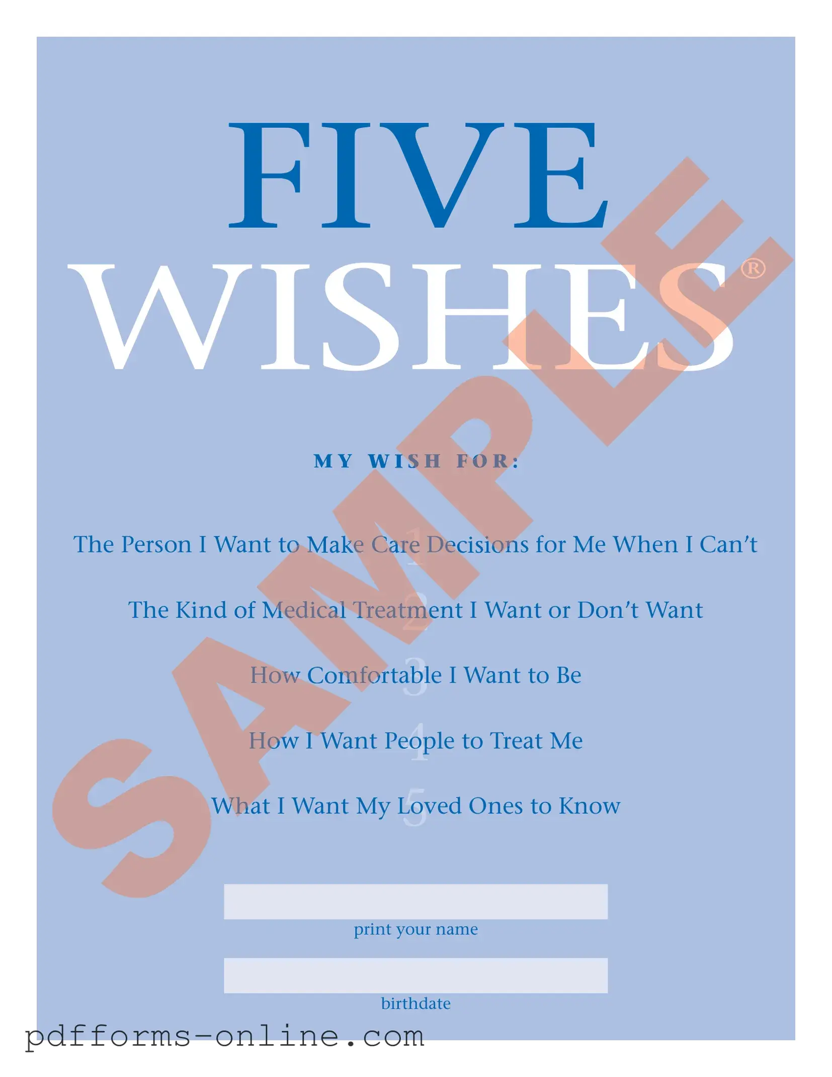 Blank 5 Wishes Document Template