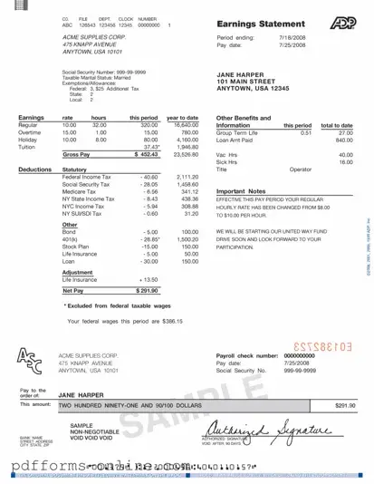 Blank Adp Pay Stub Template